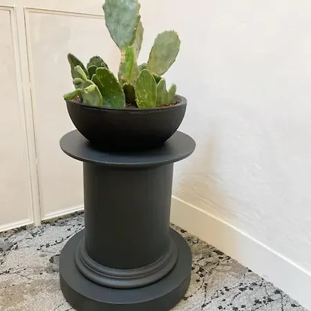 Sarrazine - N5 Alençon