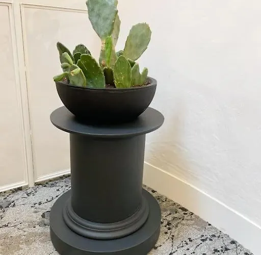 Sarrazine - N5 Alencon